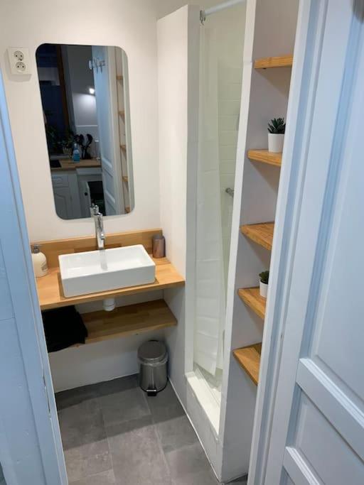 Le Petit Cocon Nimois Apartment Nîmes