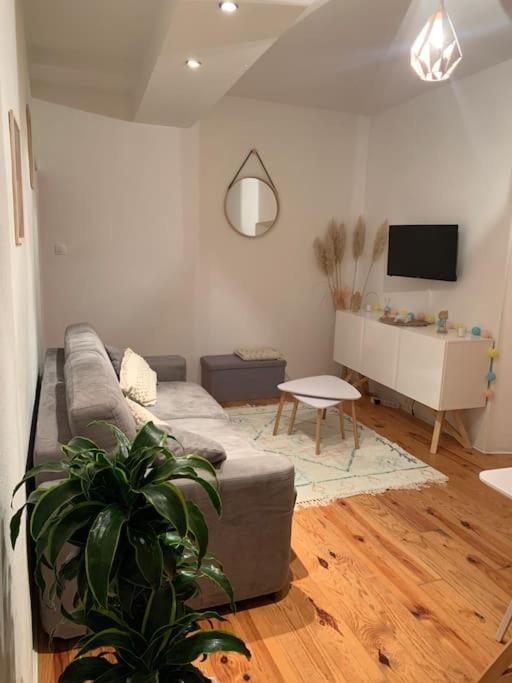 Apartment Le Petit Cocon Nimois